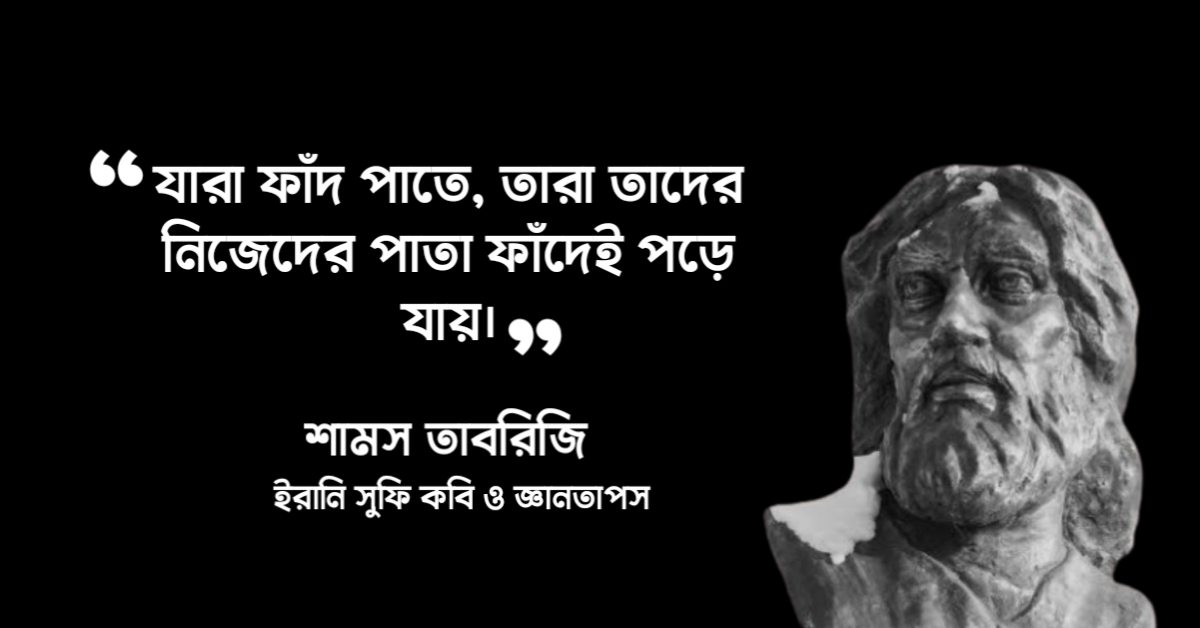 Read more about the article শামস তাবরিজি উক্তি : শামস তাবরিজ রহ. এর ২০ টি বিখ্যাত উক্তি