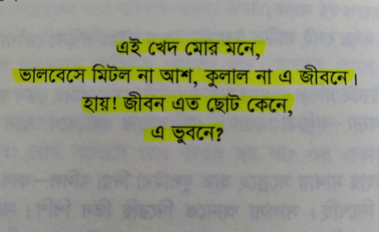 Read more about the article কবি উপন্যাসের ৪০ টি বিখ্যাত উক্তি